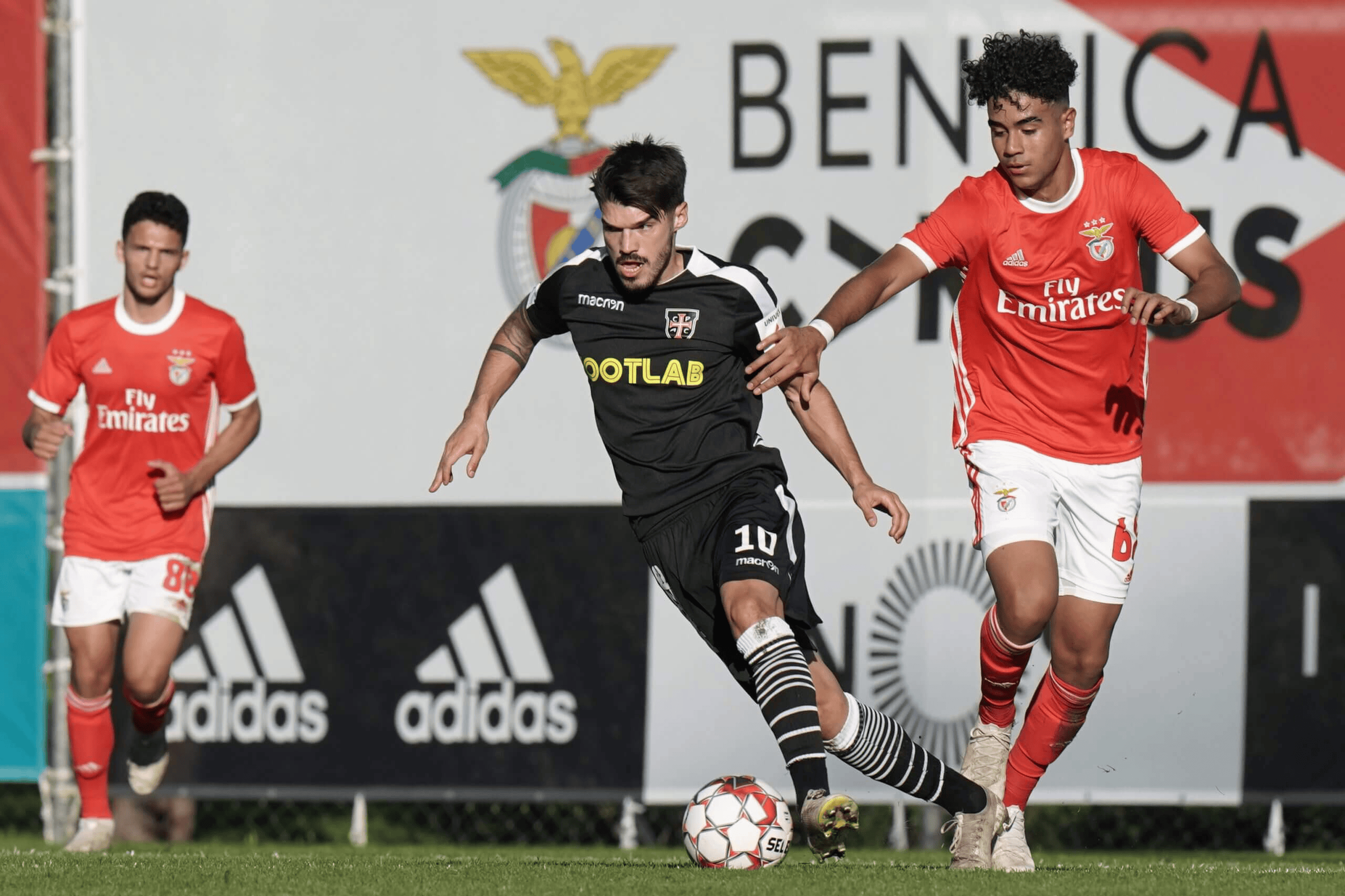 的动态, 正如卡萨皮 的动态, 正如卡萨皮