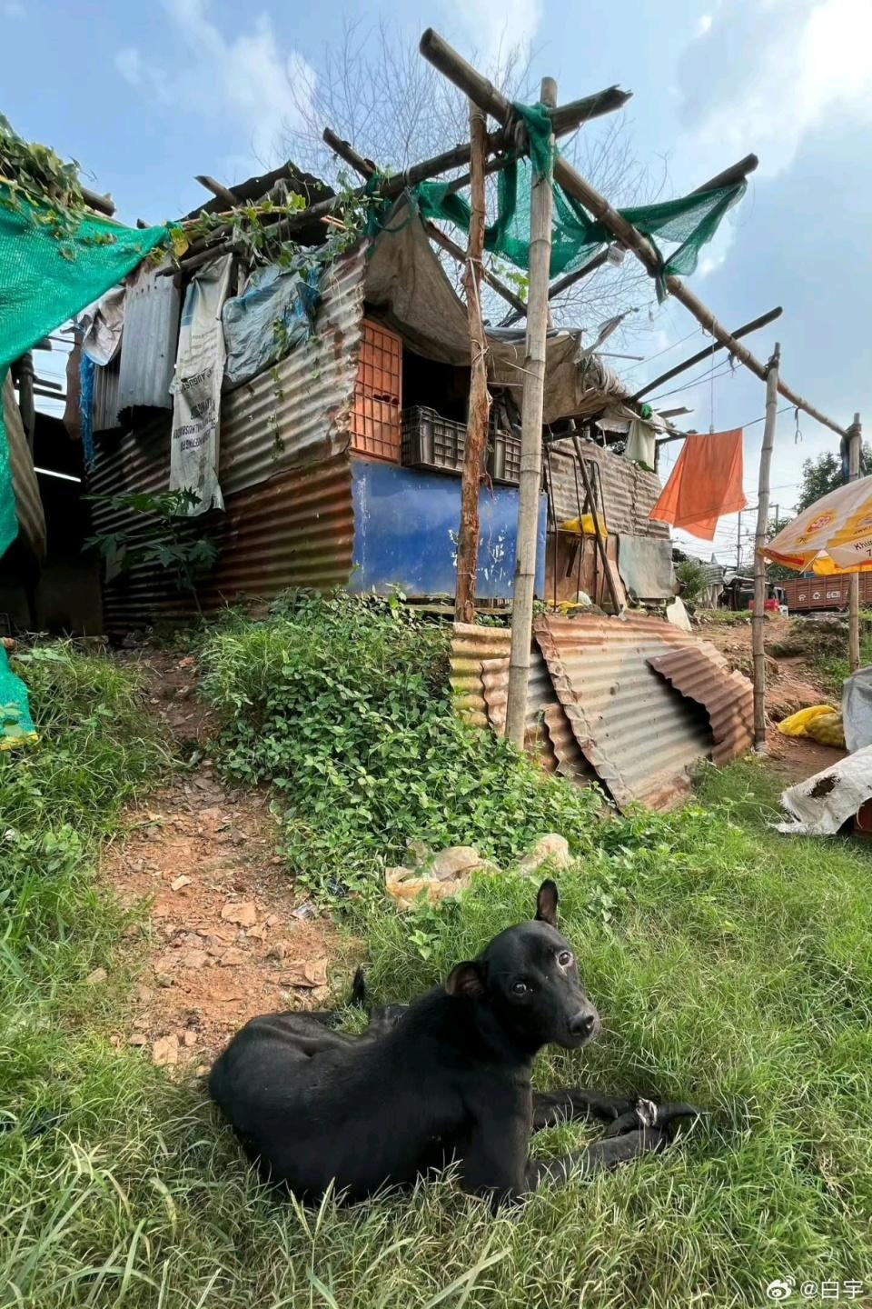 堆积如山 堆积如山